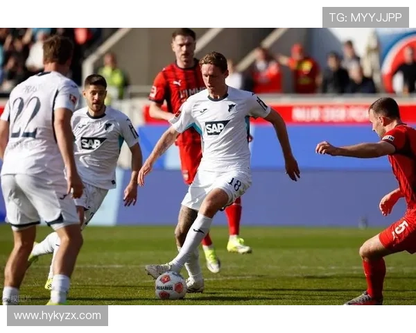 [德甲]第16轮：霍芬海姆0-1沃尔夫斯堡 集锦.